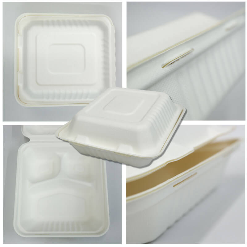 バガス商品の外観